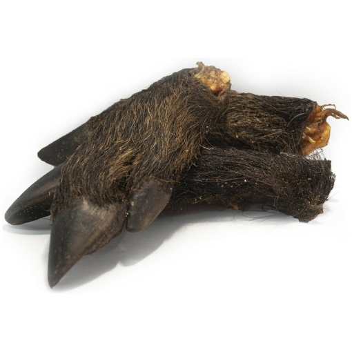 Vildsvinsfot i halvor
