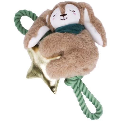 Wish Upon a Star Bunny