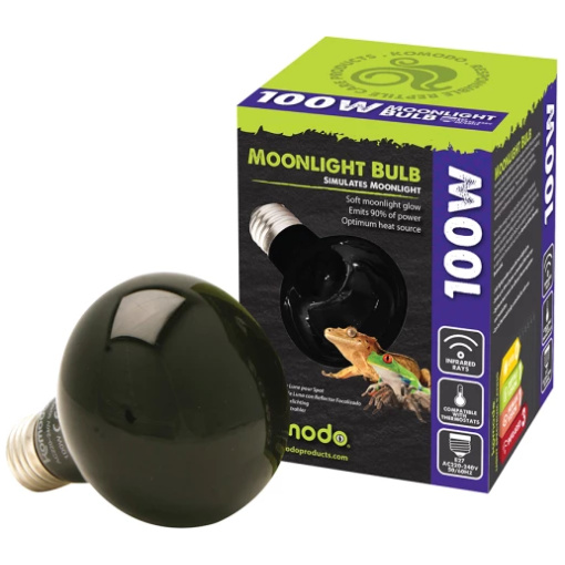Moonlight Bulb