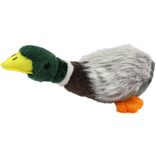 Migrator Mallard - Gräsand