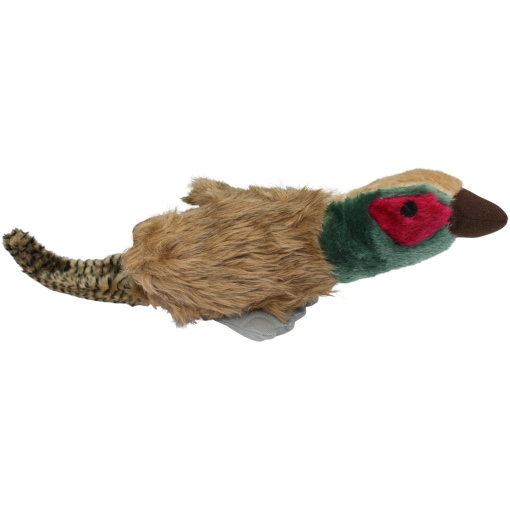 Migrator Pheasant - Fasan